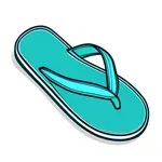 teal flip-flops image